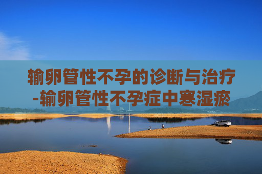 输卵管性不孕的诊断与治疗-输卵管性不孕症中寒湿瘀结证的中药口服治疗