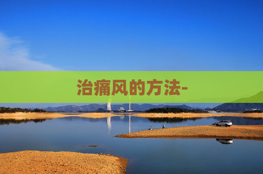 治痛风的方法-