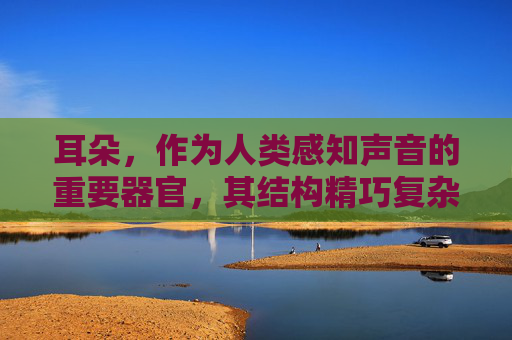 耳朵，作为人类感知声音的重要器官，其结构精巧复杂，是生物学和解剖学研究的重要内容。耳朵由外耳、中耳和内耳三个部分组成，它们协同工作，将声波转化为神经信号，最终传递到大脑。-耳的结构示意图