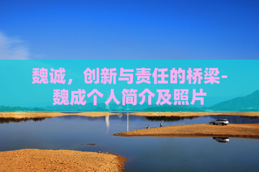 魏诚，创新与责任的桥梁-魏成个人简介及照片