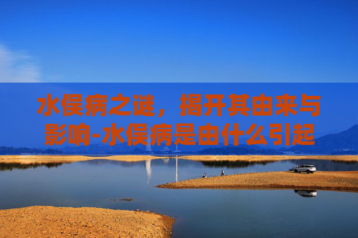 水俣病之谜，揭开其由来与影响-水俣病是由什么引起的,为什么