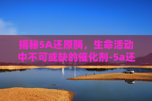 揭秘5A还原酶，生命活动中不可或缺的催化剂-5a还原酶抑制剂有哪些