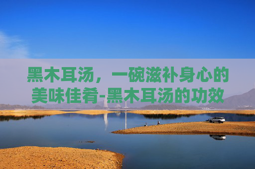 黑木耳汤，一碗滋补身心的美味佳肴-黑木耳汤的功效