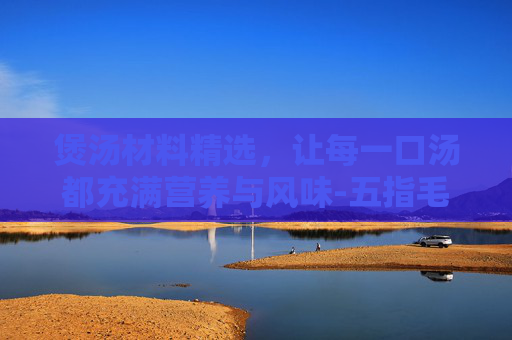煲汤材料精选，让每一口汤都充满营养与风味-五指毛头煲汤材料