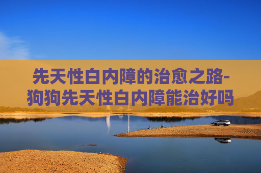 先天性白内障的治愈之路-狗狗先天性白内障能治好吗