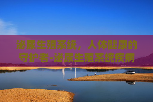 泌尿生殖系统，人体健康的守护者-泌尿生殖系统疾病有哪些