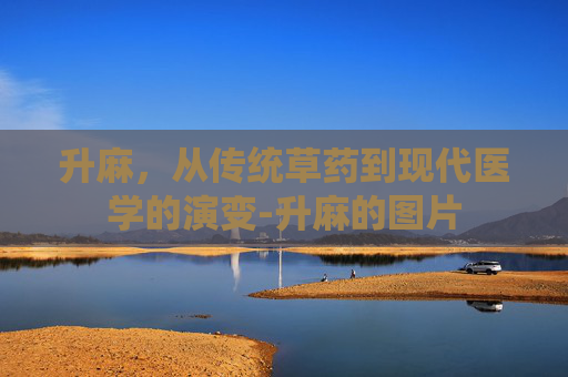 升麻，从传统草药到现代医学的演变-升麻的图片