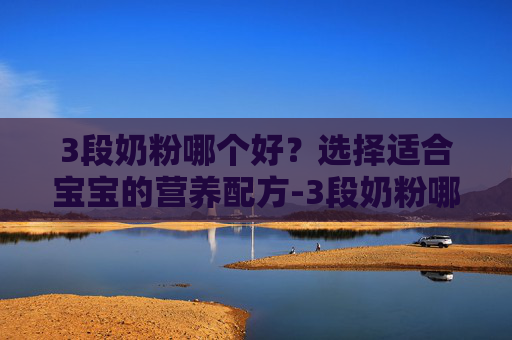 3段奶粉哪个好？选择适合宝宝的营养配方-3段奶粉哪个好吸收易消化增强免疫力