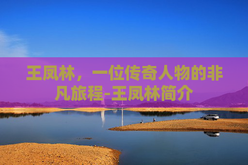 王凤林，一位传奇人物的非凡旅程-王凤林简介