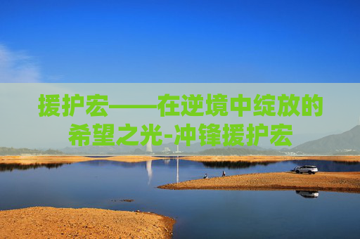 援护宏——在逆境中绽放的希望之光-冲锋援护宏