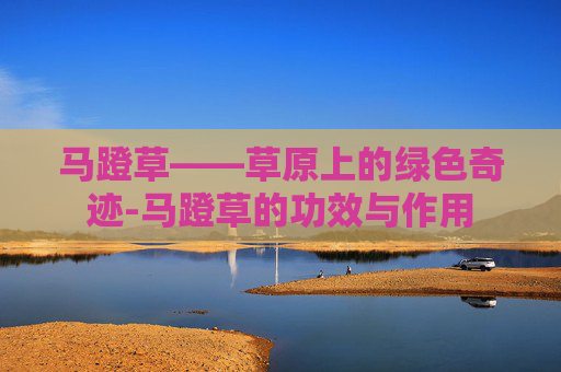 马蹬草——草原上的绿色奇迹-马蹬草的功效与作用