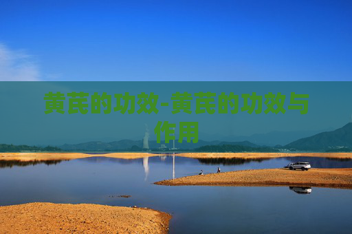 黄芪的功效-黄芪的功效与作用