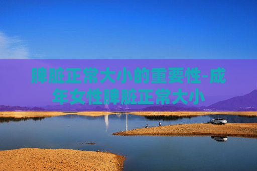 脾脏正常大小的重要性-成年女性脾脏正常大小