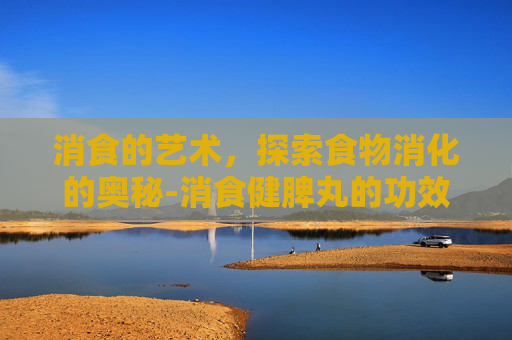 消食的艺术，探索食物消化的奥秘-消食健脾丸的功效与作用