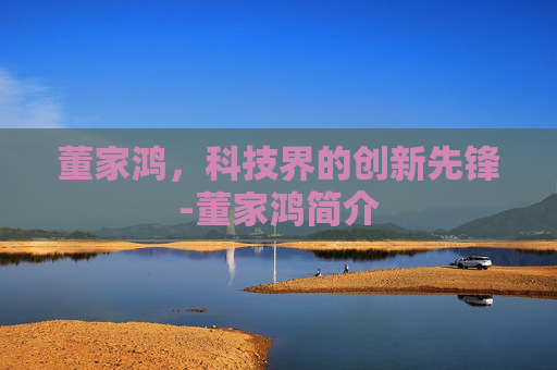 董家鸿，科技界的创新先锋-董家鸿简介