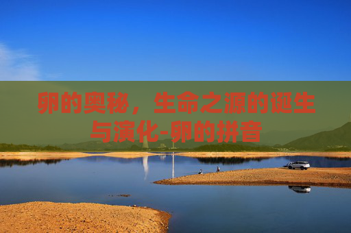 卵的奥秘，生命之源的诞生与演化-卵的拼音