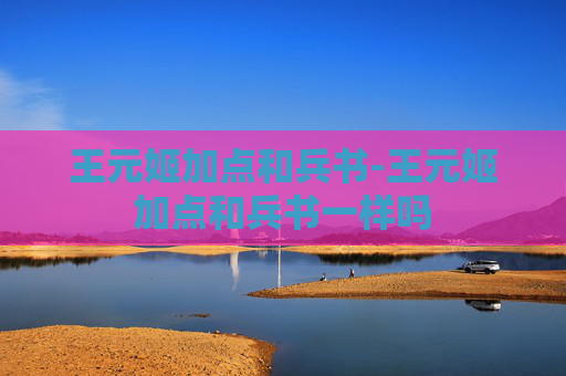 王元姬加点和兵书-王元姬加点和兵书一样吗