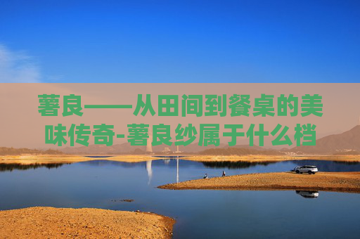 薯良——从田间到餐桌的美味传奇-薯良纱属于什么档次