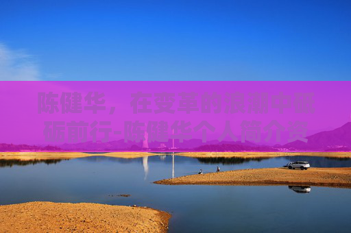陈健华，在变革的浪潮中砥砺前行-陈健华个人简介资料