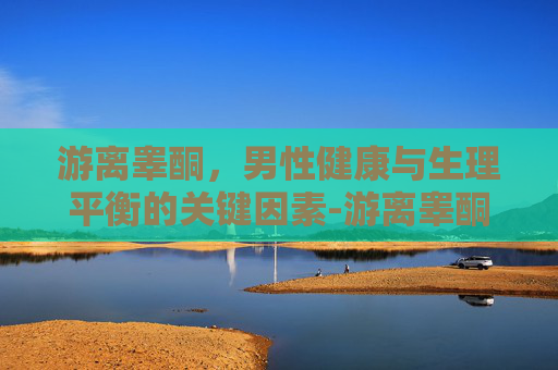 游离睾酮，男性健康与生理平衡的关键因素-游离睾酮查什么