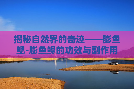 揭秘自然界的奇迹——膨鱼鳃-膨鱼鳃的功效与副作用