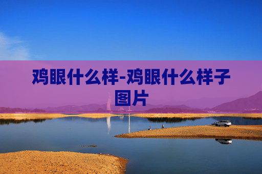 鸡眼什么样-鸡眼什么样子图片