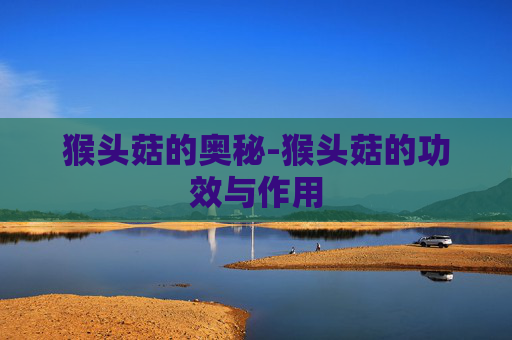 猴头菇的奥秘-猴头菇的功效与作用