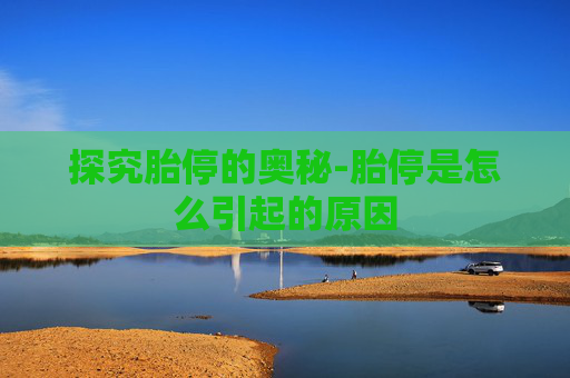 探究胎停的奥秘-胎停是怎么引起的原因