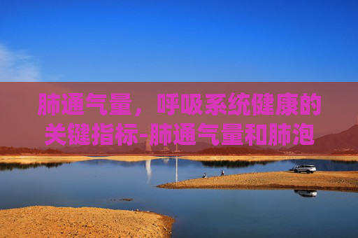肺通气量，呼吸系统健康的关键指标-肺通气量和肺泡通气量有什么区别