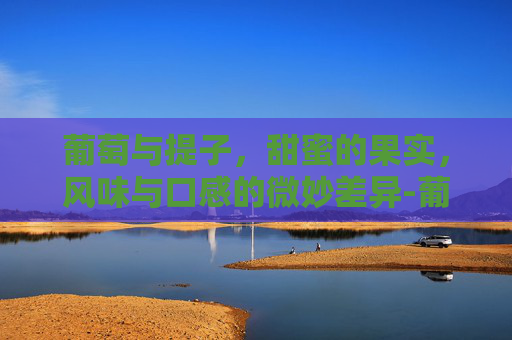 葡萄与提子，甜蜜的果实，风味与口感的微妙差异-葡萄和提子的区别营养功效
