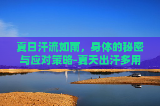 夏日汗流如雨，身体的秘密与应对策略-夏天出汗多用什么泡水喝好