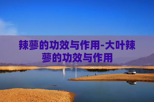 辣蓼的功效与作用-大叶辣蓼的功效与作用