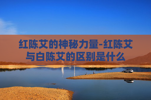 红陈艾的神秘力量-红陈艾与白陈艾的区别是什么