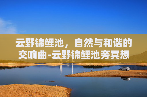云野锦鲤池，自然与和谐的交响曲-云野锦鲤池旁冥想在哪里