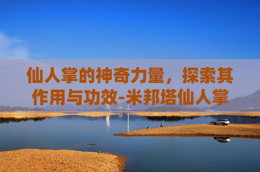 仙人掌的神奇力量，探索其作用与功效-米邦塔仙人掌的作用与功效