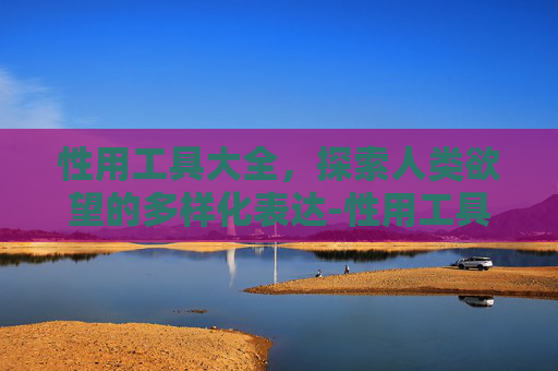 性用工具大全，探索人类欲望的多样化表达-性用工具品