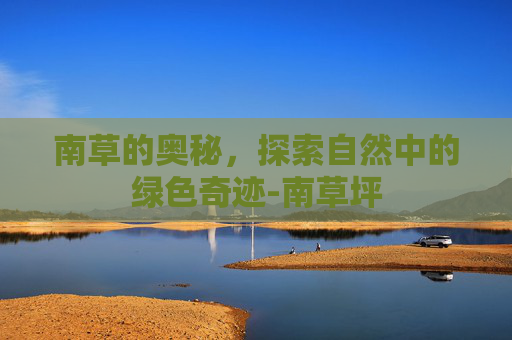 南草的奥秘，探索自然中的绿色奇迹-南草坪