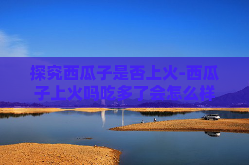 探究西瓜子是否上火-西瓜子上火吗吃多了会怎么样