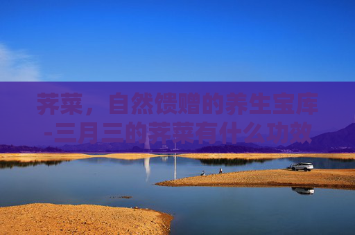 荠菜，自然馈赠的养生宝库-三月三的荠菜有什么功效