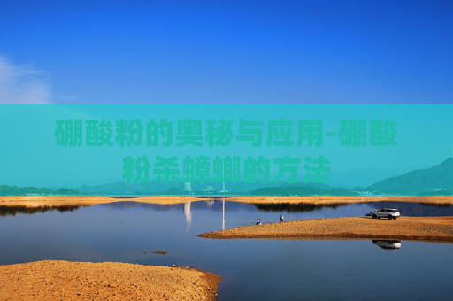 硼酸粉的奥秘与应用-硼酸粉杀蟑螂的方法