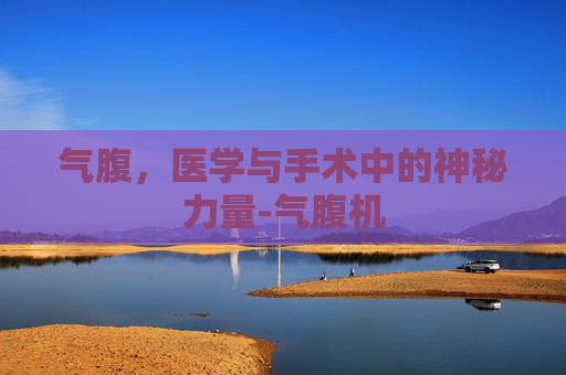 气腹，医学与手术中的神秘力量-气腹机