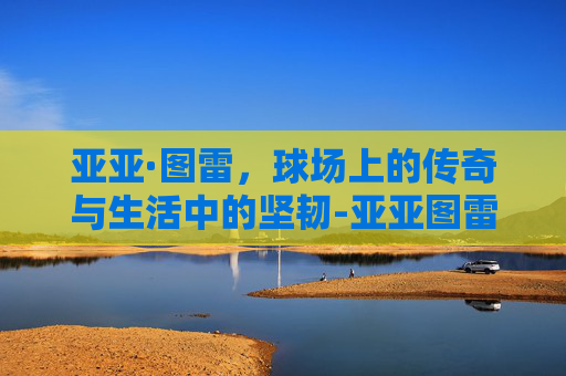 亚亚·图雷，球场上的传奇与生活中的坚韧-亚亚图雷是哪个国家