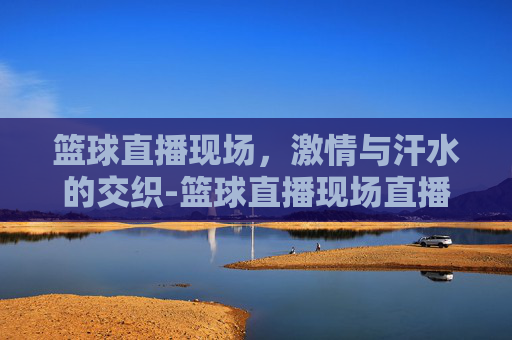 篮球直播现场，激情与汗水的交织-篮球直播现场直播 今天