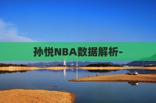 孙悦NBA数据解析-