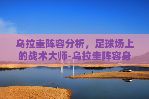 乌拉圭阵容分析，足球场上的战术大师-乌拉圭阵容身价