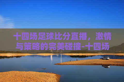 十四场足球比分直播，激情与策略的完美碰撞-十四场比分足球十四场比分