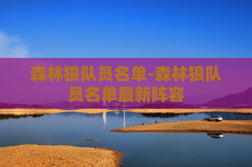 森林狼队员名单-森林狼队员名单最新阵容