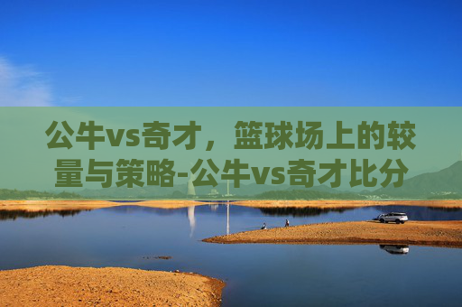 公牛vs奇才，篮球场上的较量与策略-公牛vs奇才比分预测