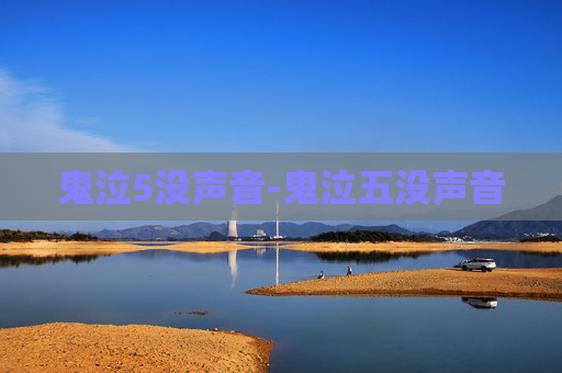鬼泣5没声音-鬼泣五没声音