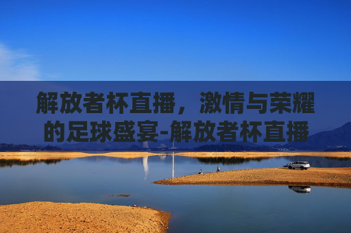 解放者杯直播，激情与荣耀的足球盛宴-解放者杯直播在线观看